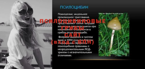 ешки Вязьма