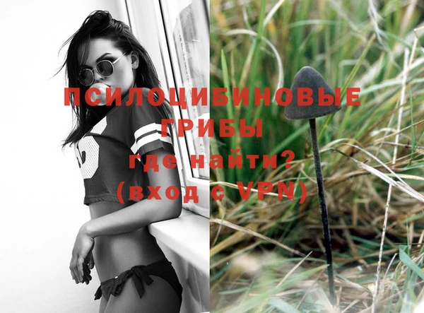 дживик Вязники