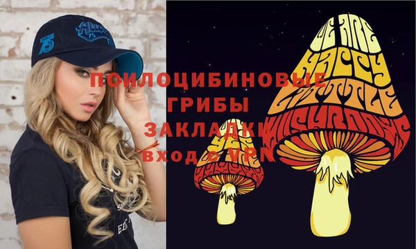 бошки Вяземский