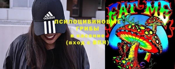 ешки Вязьма