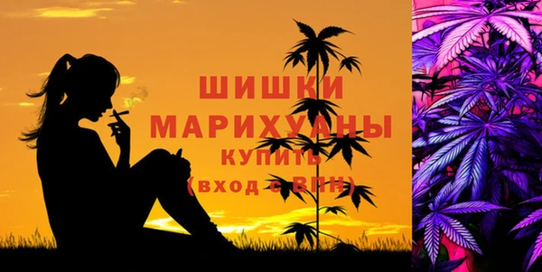 дживик Вязники