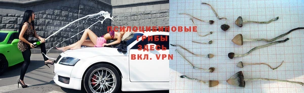 ешки Вязьма